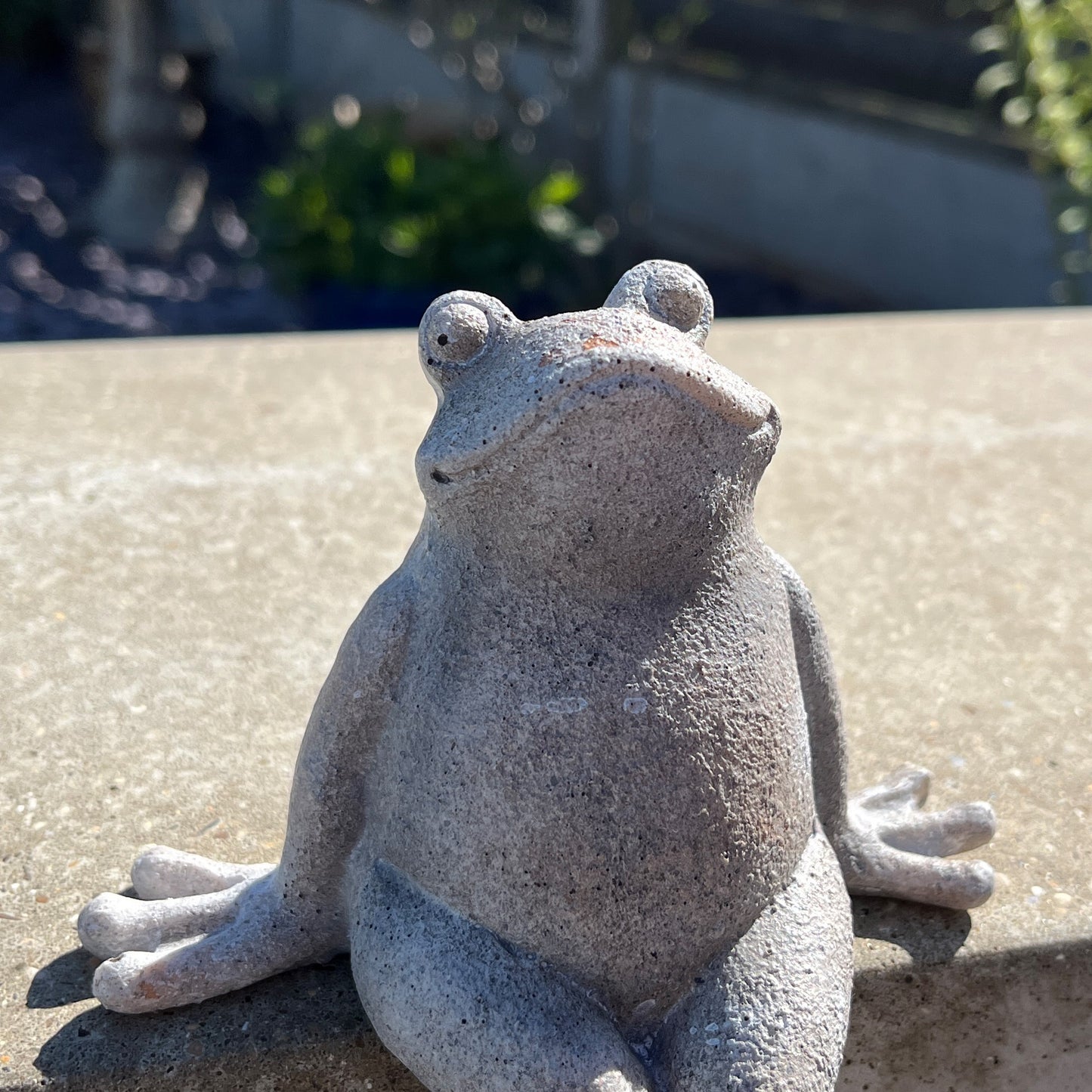 Frog Garden Wall Ornament - Resin