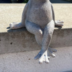 Frog Garden Wall Ornament - Resin