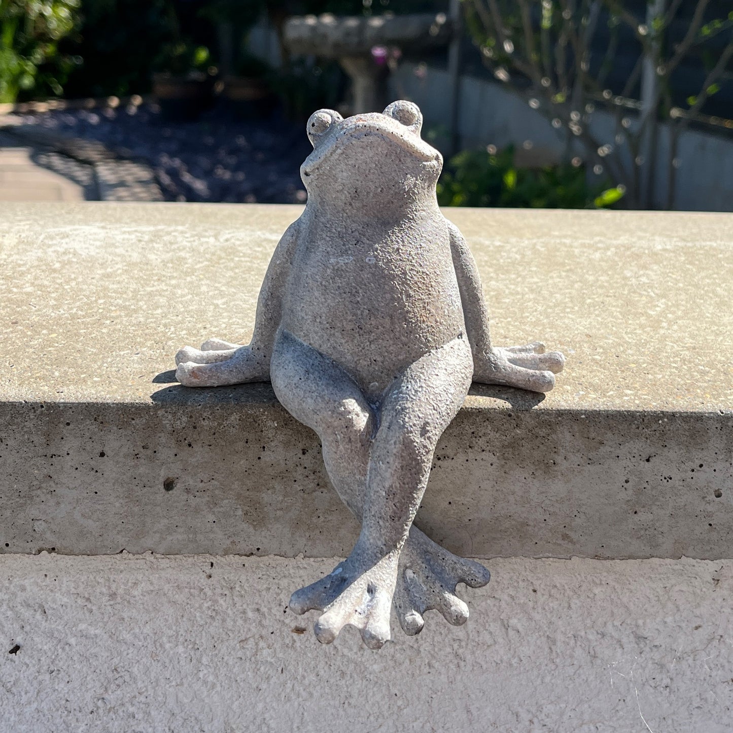 Frog Garden Wall Ornament - Resin