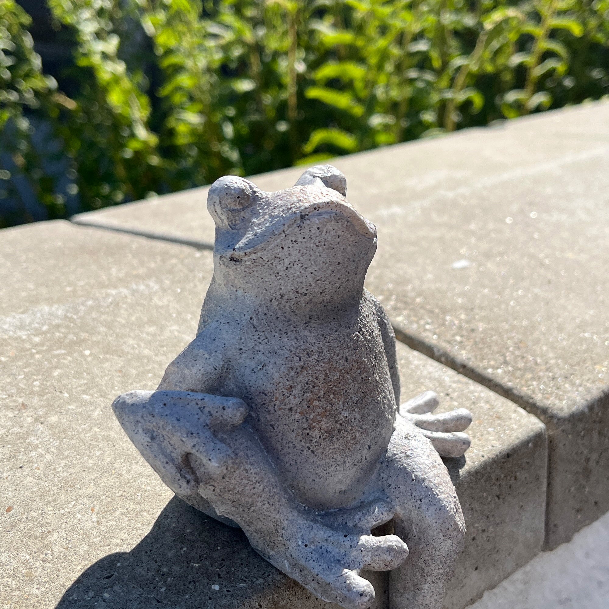 Resin Frog Garden Wall Ornament - Leg Up