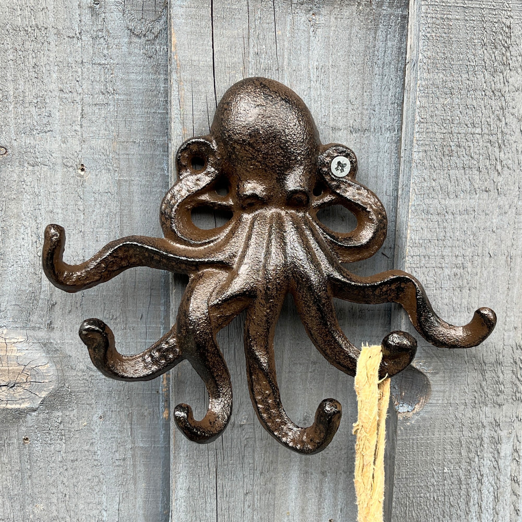 Octopus Wall Hook / Key Rack - Cast Iron