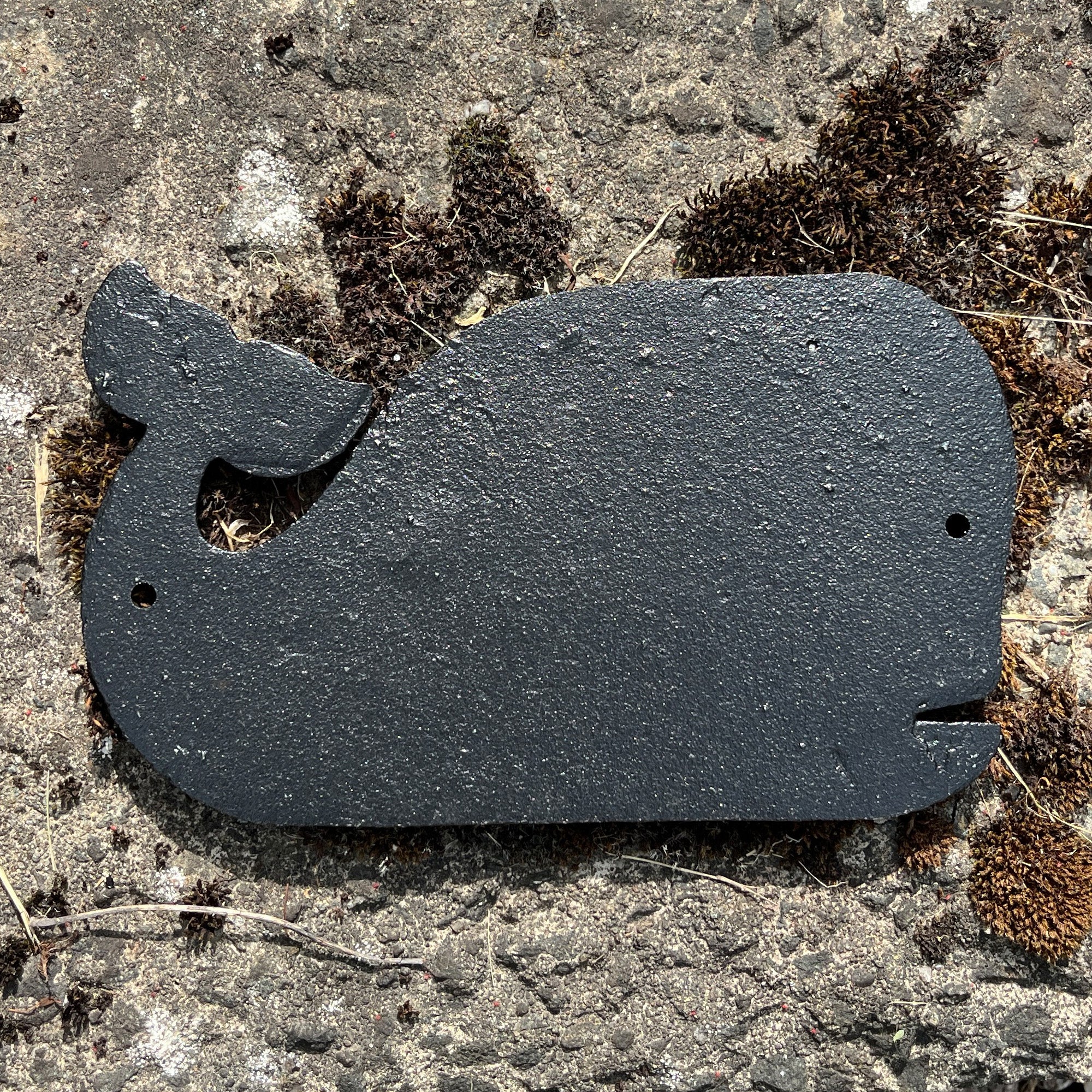 Whale Shaped 'Beach House' Wall Sign / Plaque - Cast Iron