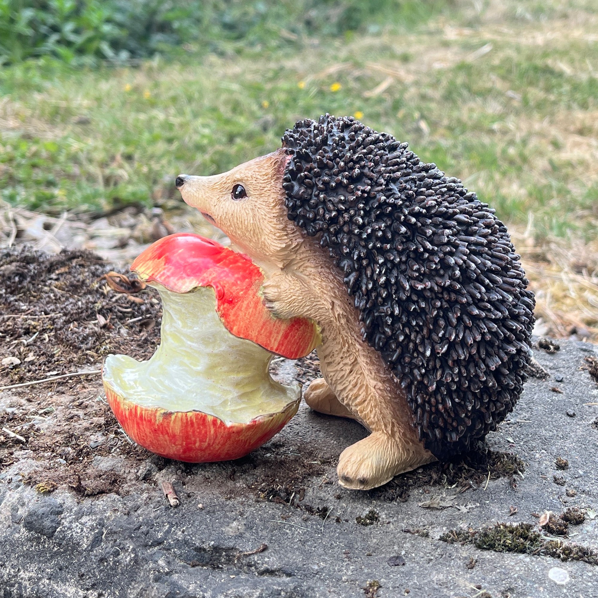 Hedgehog with Apple Garden Ornament - Resin