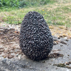 Hedgehog with Apple Garden Ornament - Resin