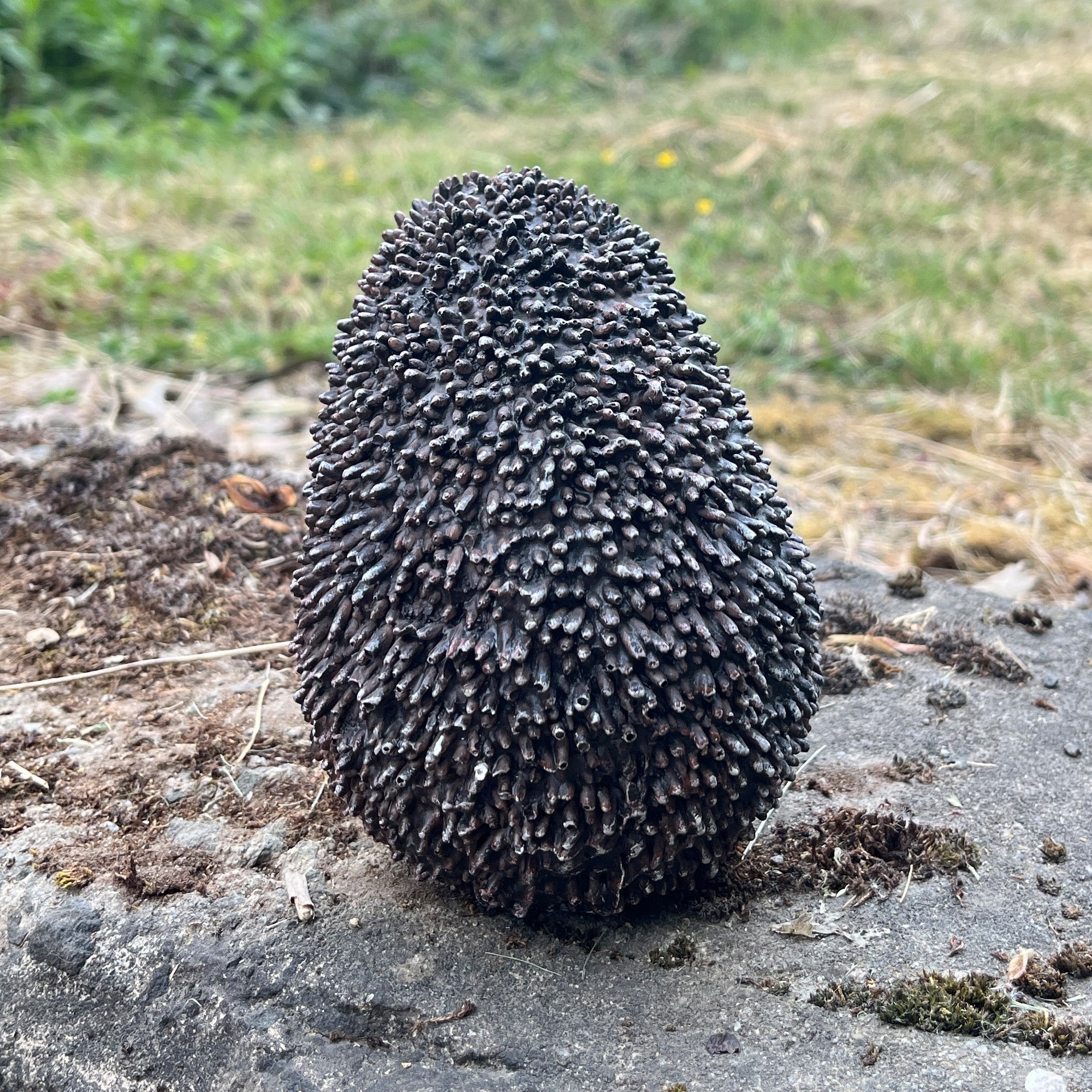 Hedgehog with Apple Garden Ornament - Resin