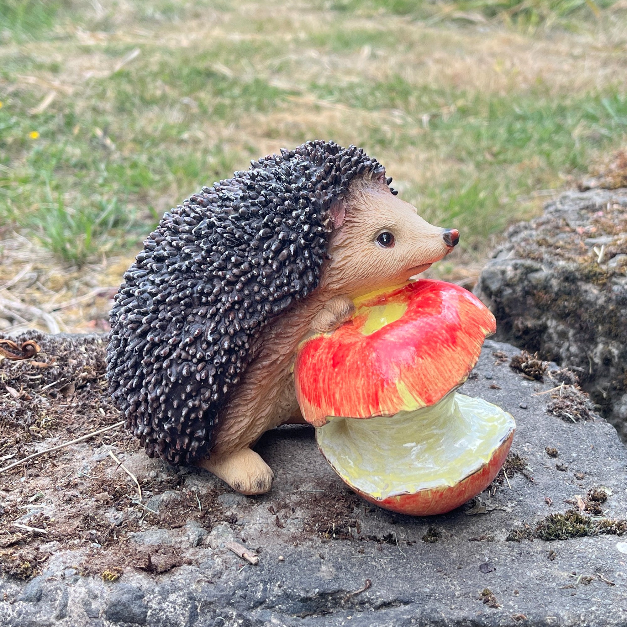 Hedgehog with Apple Garden Ornament - Resin