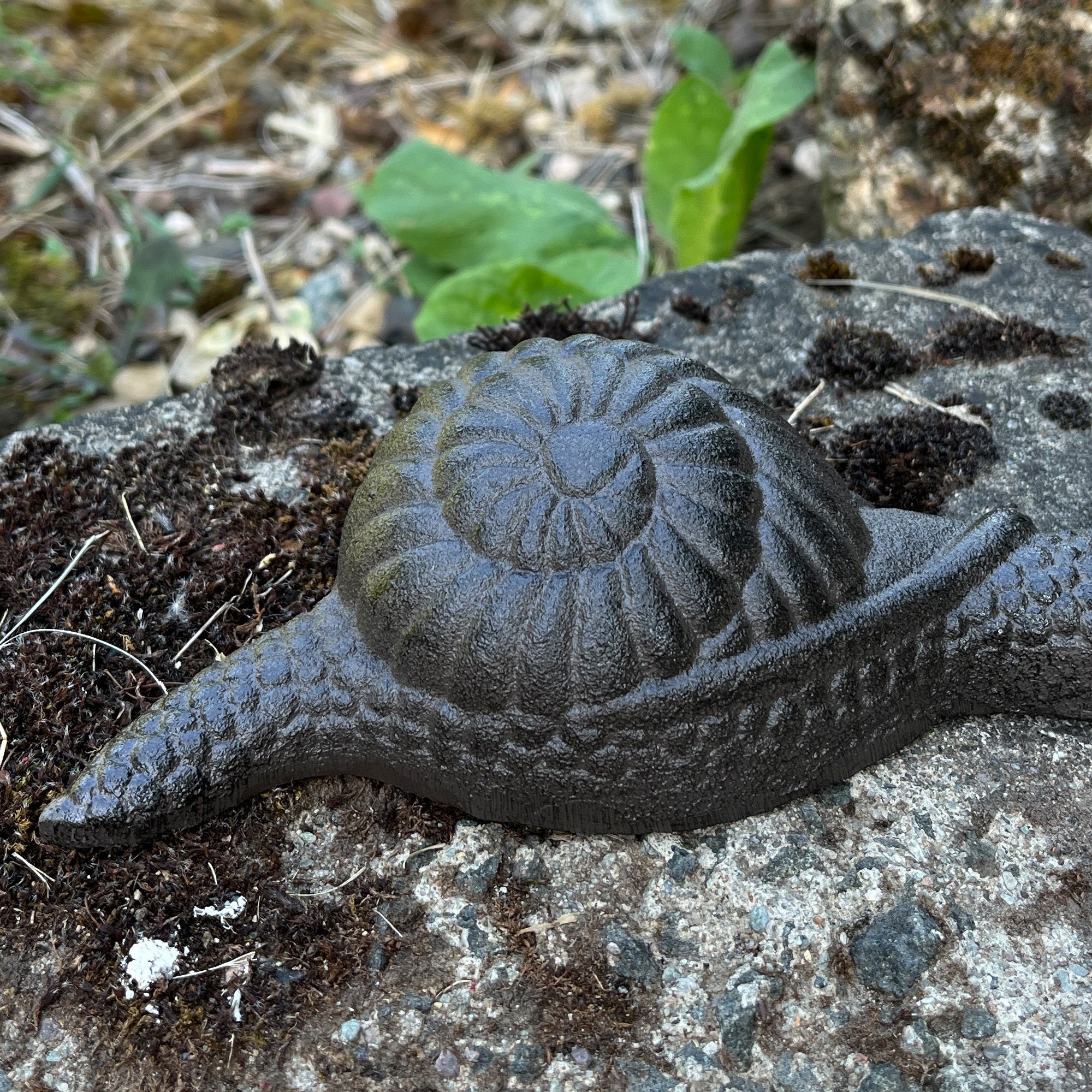 Snail Boot Jack / Garden Ornament – Cast Iron