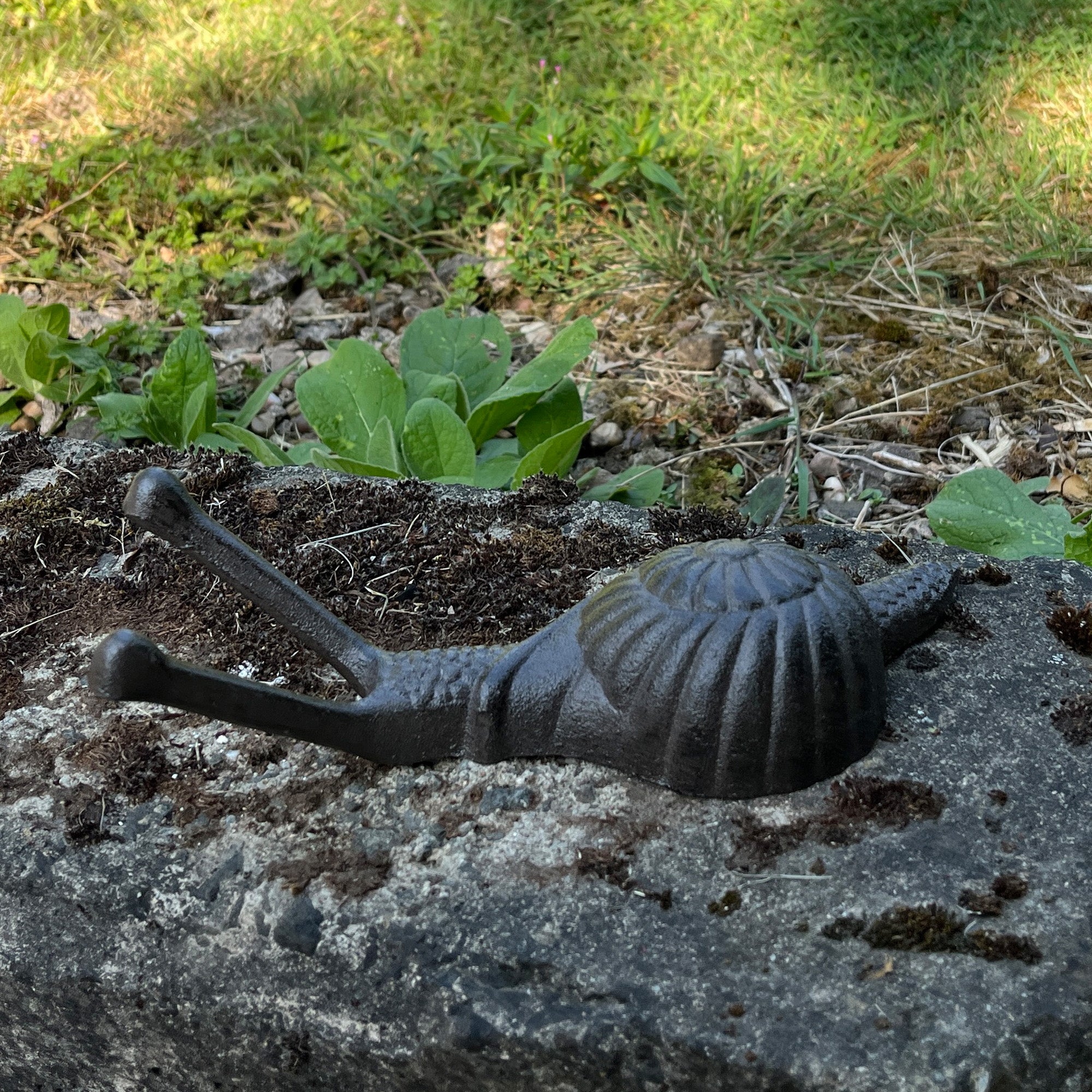 Snail Boot Jack / Garden Ornament – Cast Iron