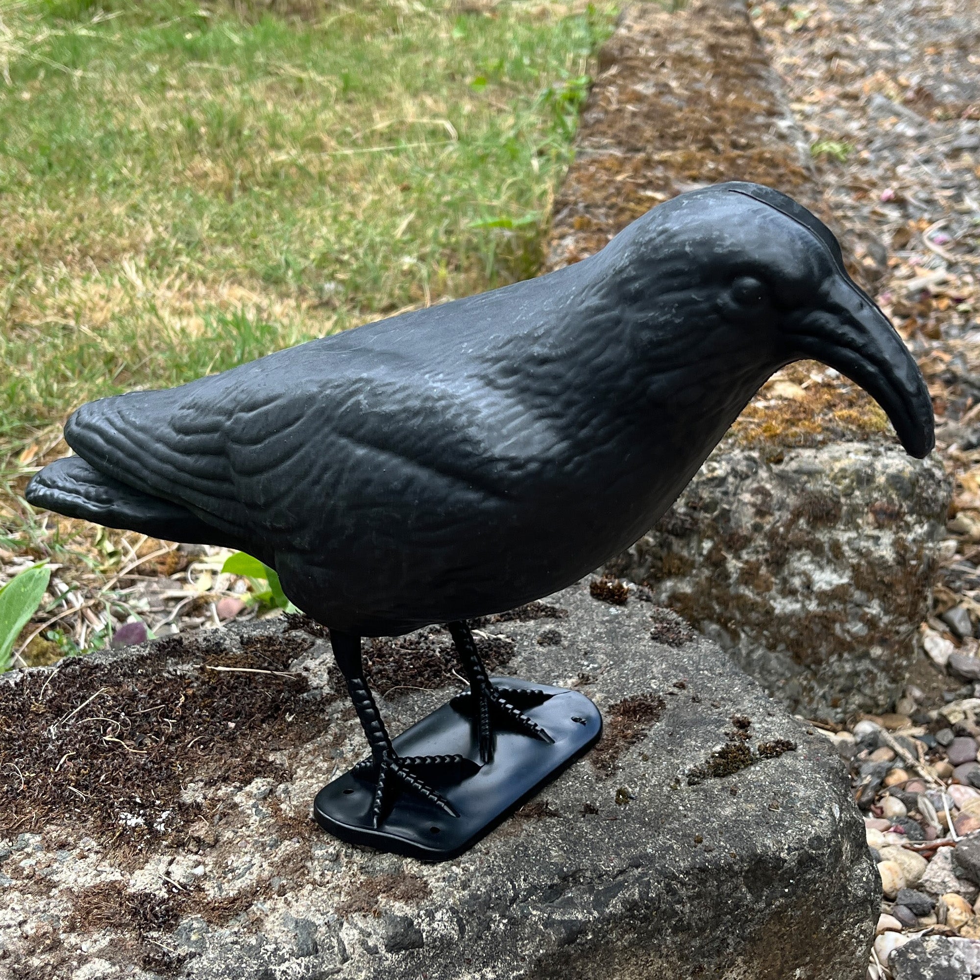 Black Plastic Pigeon Scarer Bird Garden Decoration