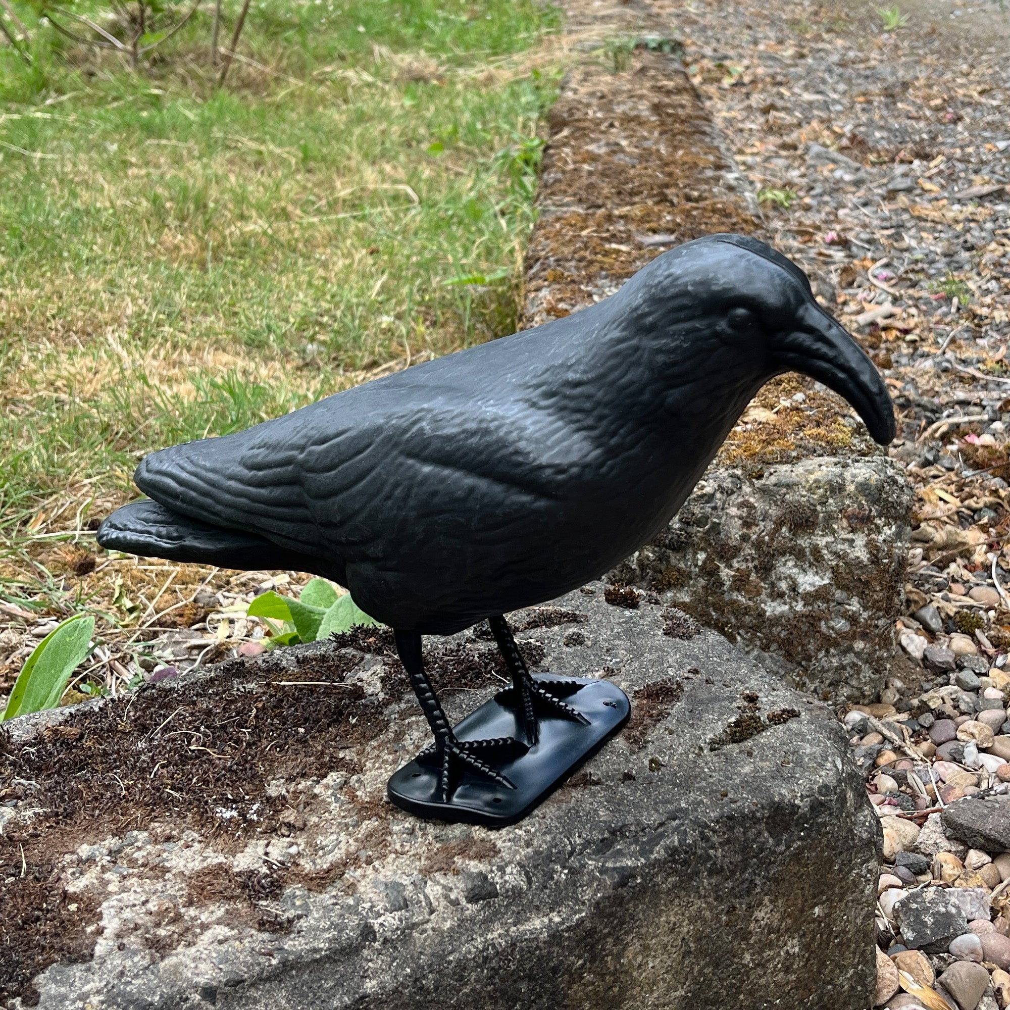 Black Plastic Pigeon Scarer Bird Garden Decoration