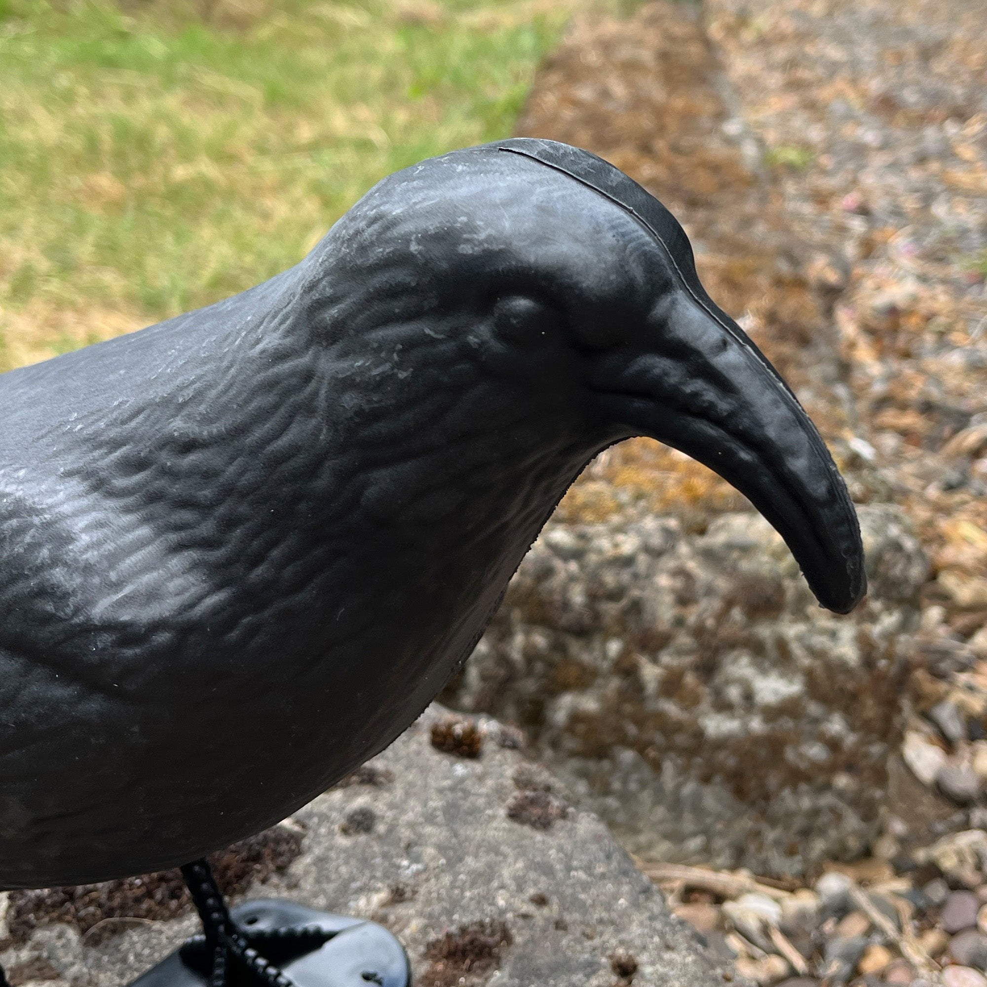 Black Plastic Pigeon Scarer Bird Garden Decoration