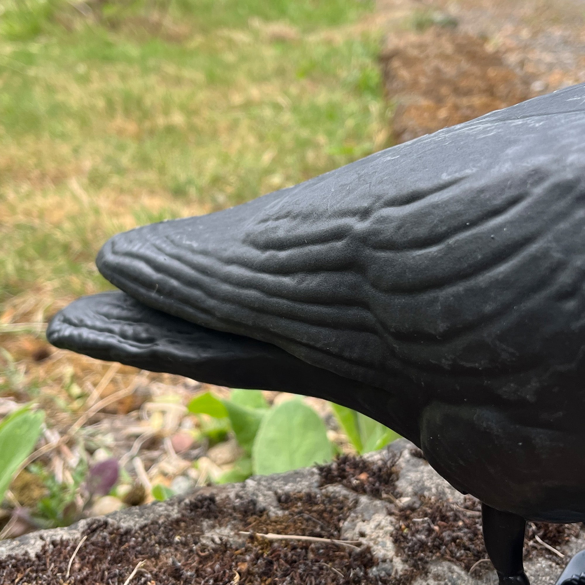 Black Plastic Pigeon Scarer Bird Garden Decoration