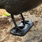 Black Plastic Pigeon Scarer Bird Garden Decoration