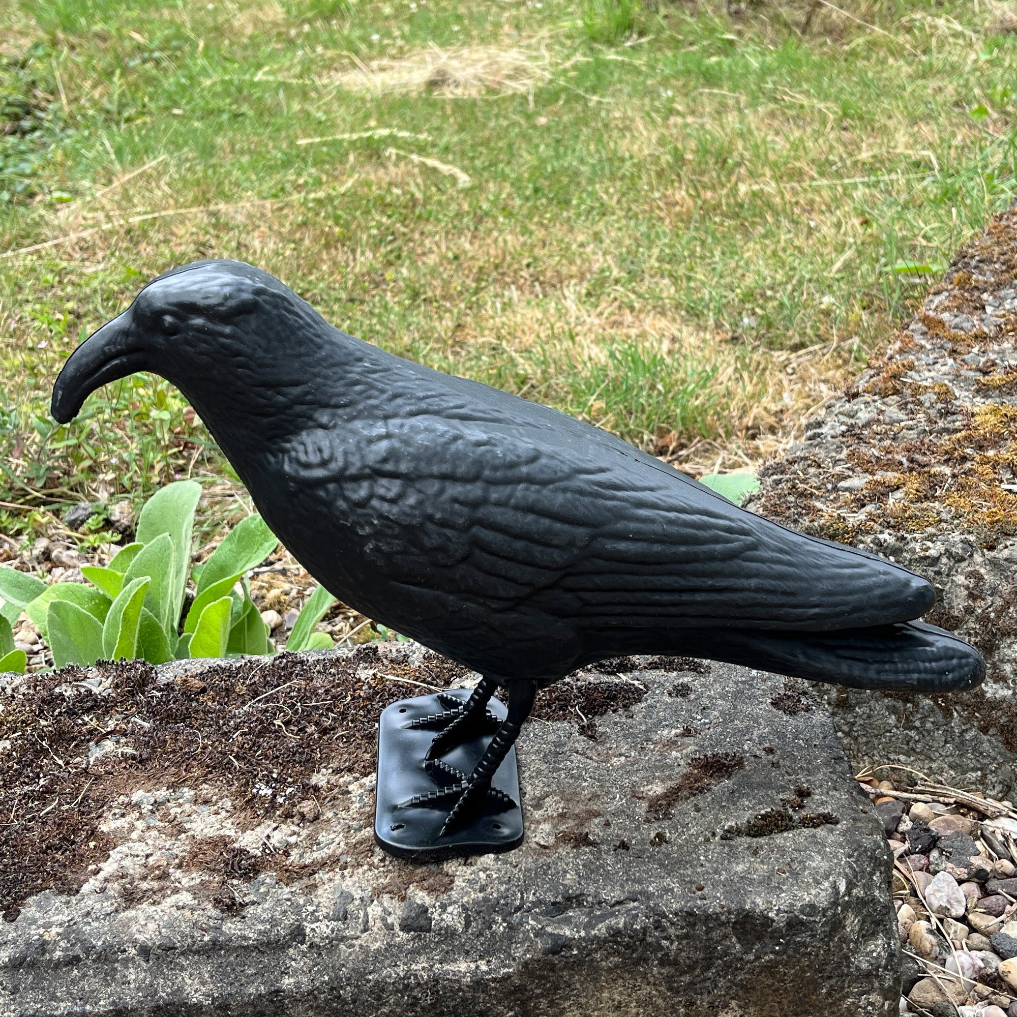 Black Plastic Pigeon Scarer Bird Garden Decoration