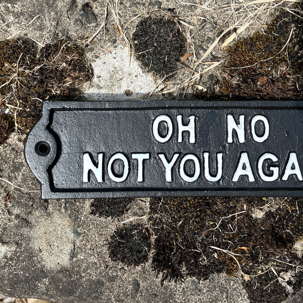 21.5cm 'Oh No Not You Again' Cast Iron Wall Sign / Plaque