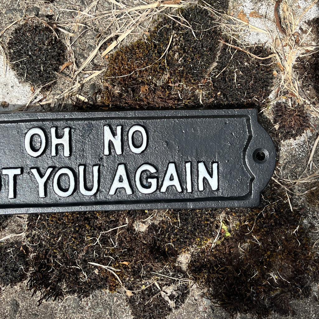 21.5cm 'Oh No Not You Again' Cast Iron Wall Sign / Plaque