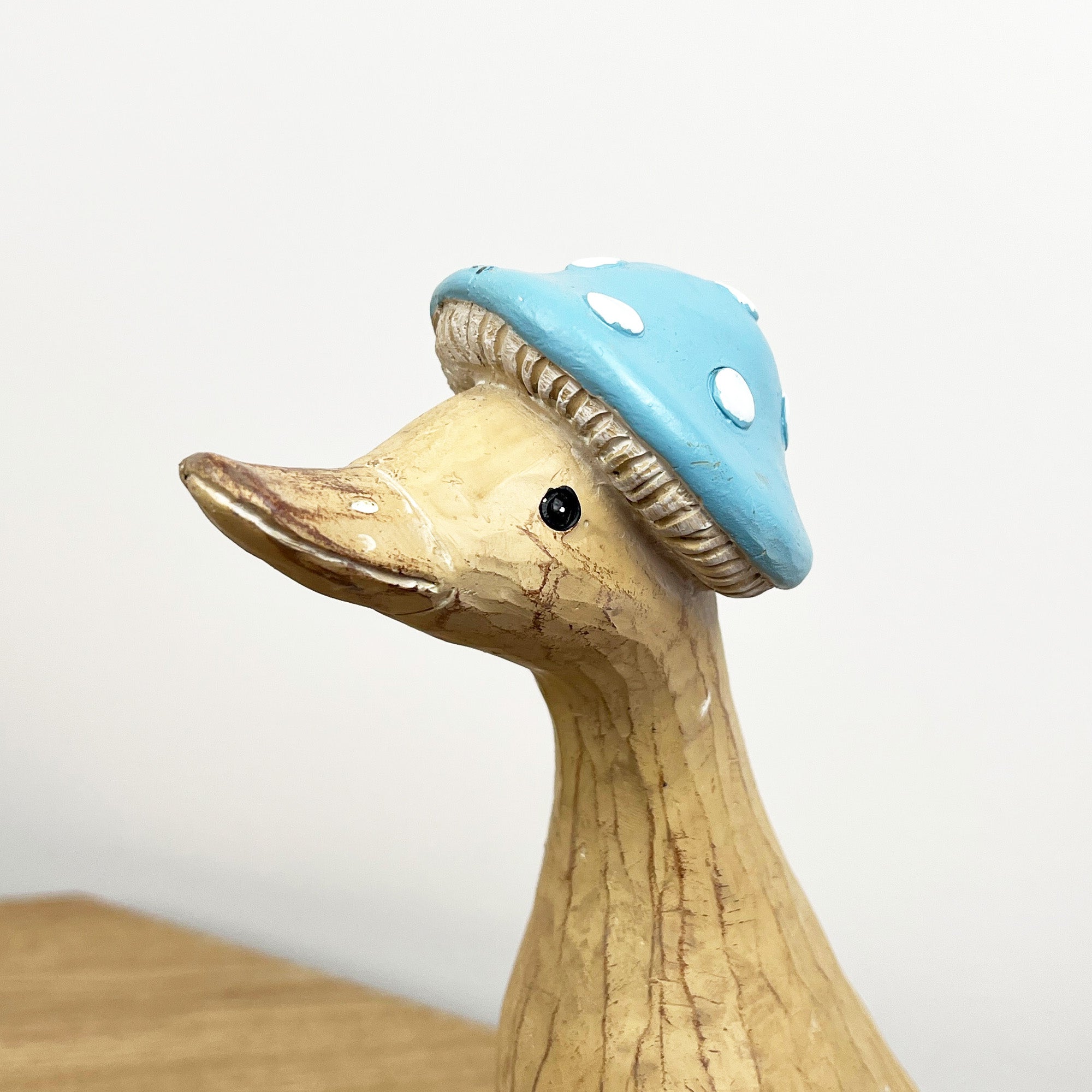 23.5cm Rustic Toadstool Hat Duck Ornament - Resin