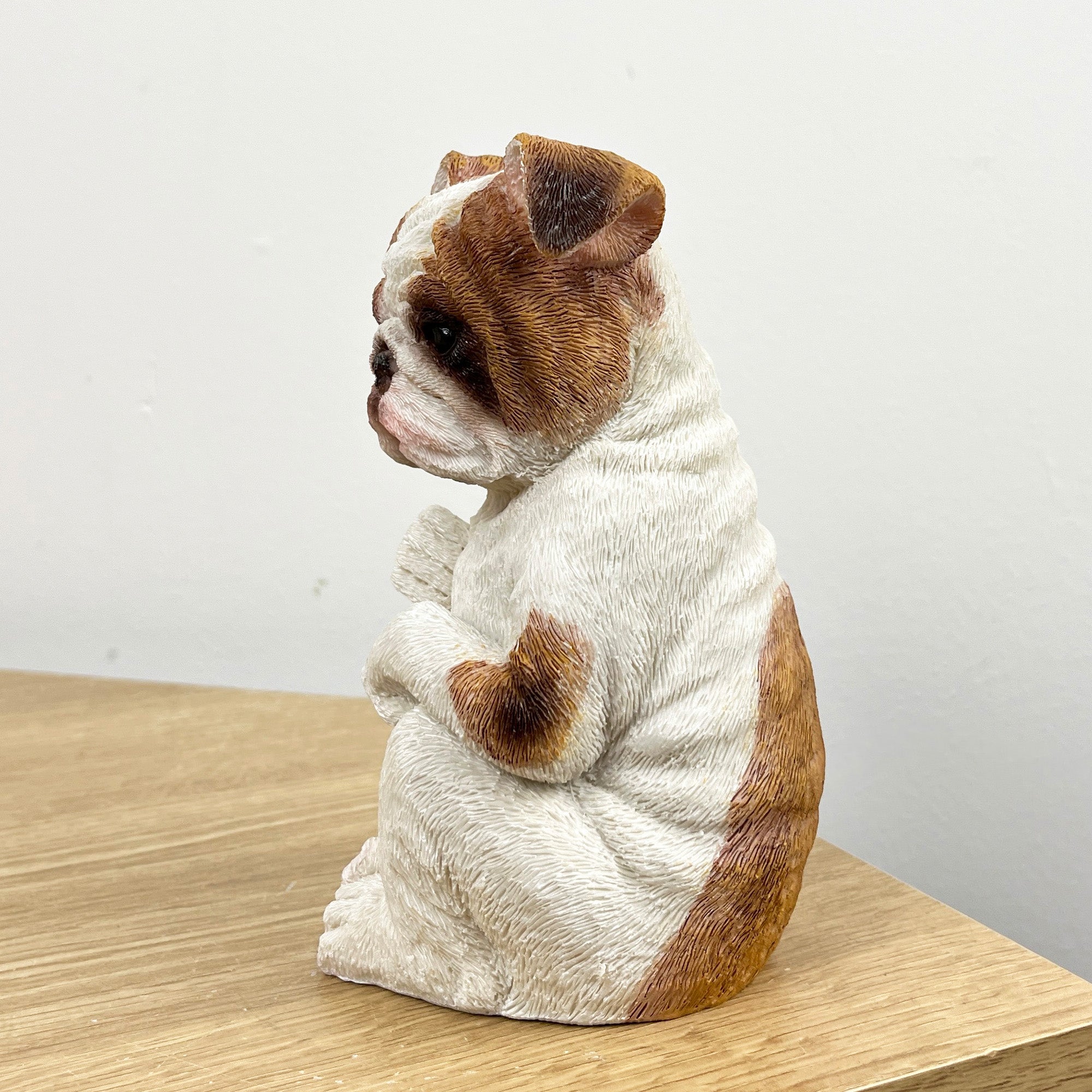 14.5cm Cute British Bulldog Ornament – Resin