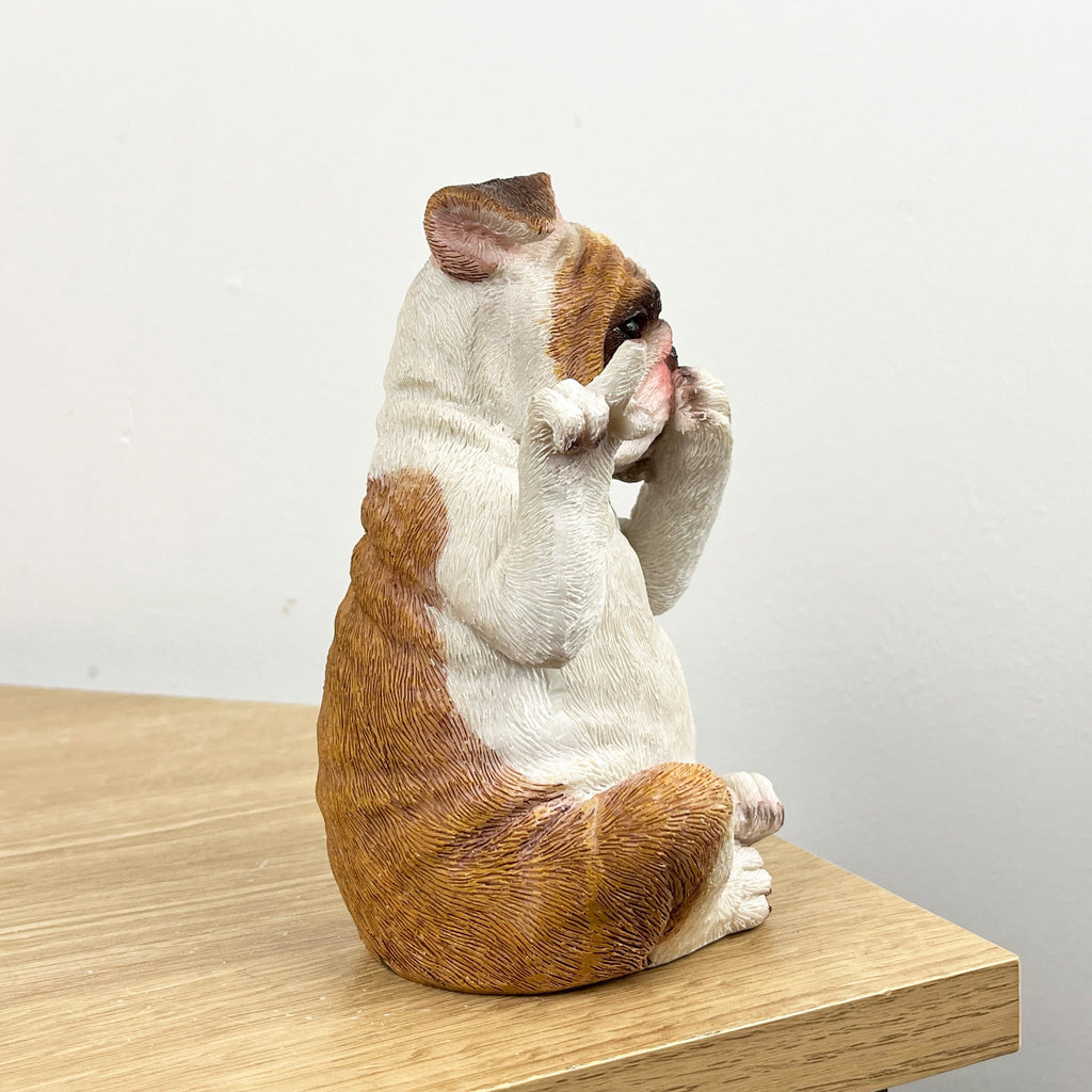 15cm Cheeky Mouth Covered British Bulldog Ornament – Resin