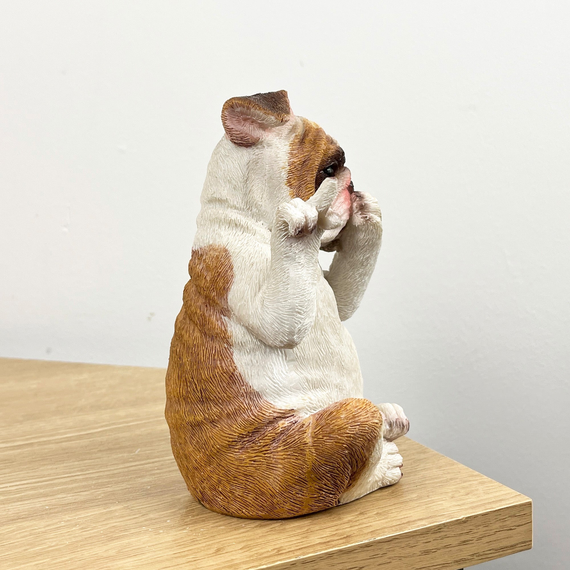 15cm Cheeky Mouth Covered British Bulldog Ornament – Resin