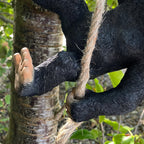 28cm Hanging Swinging Monkey Ornament - Resin