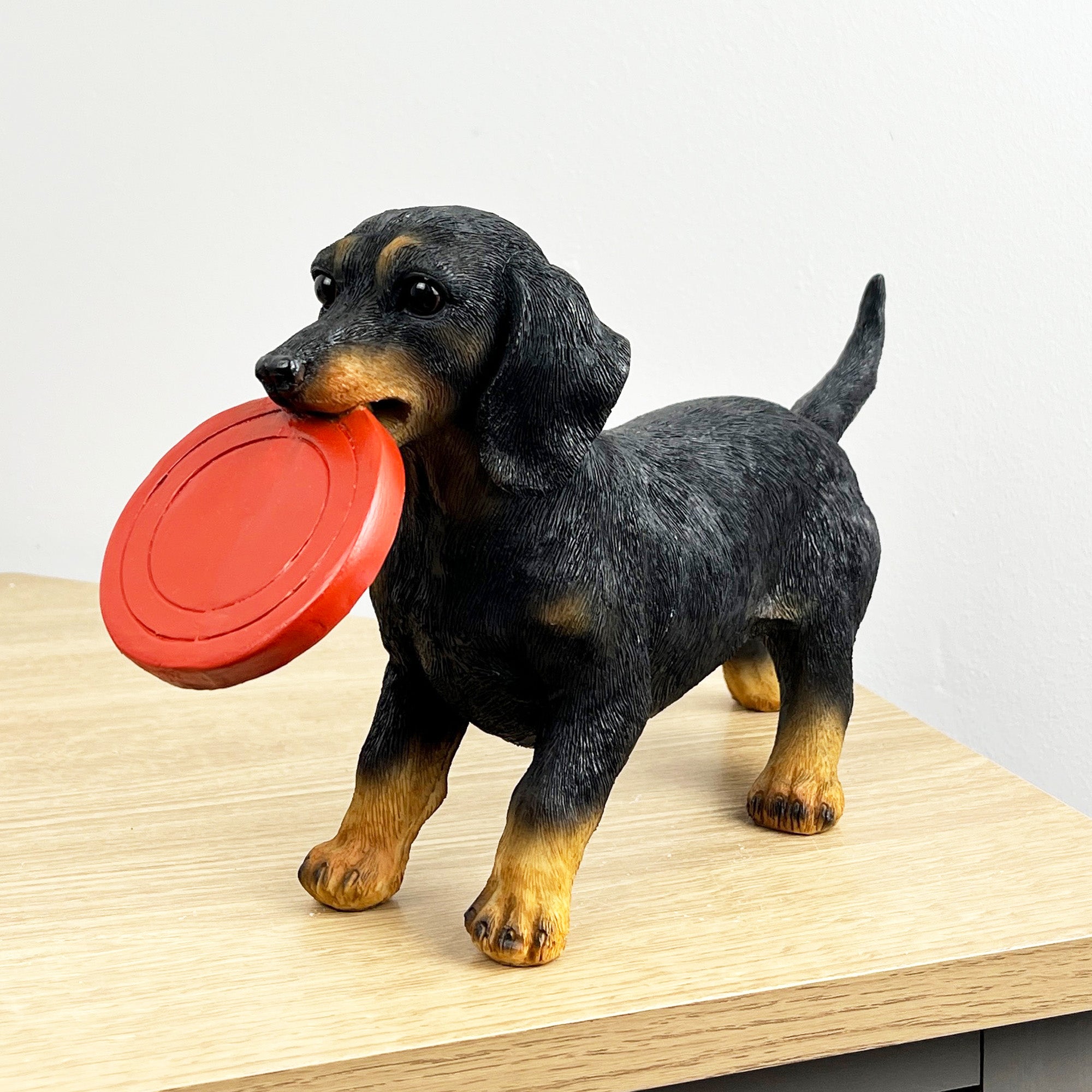 29.5cm Dachshund with Frisbee Ornament – Resin