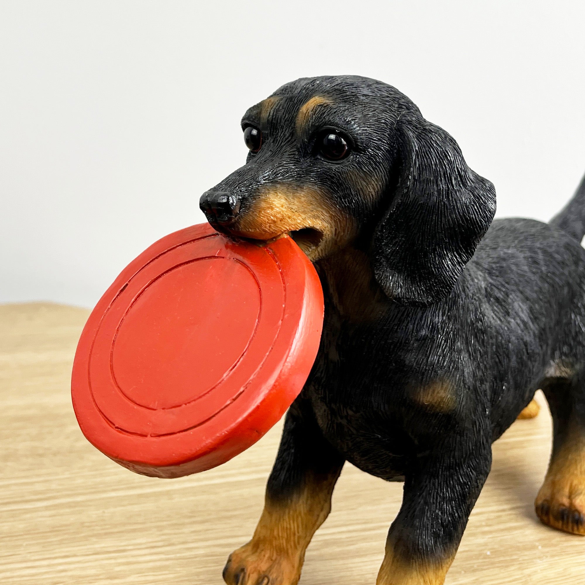 29.5cm Dachshund with Frisbee Ornament – Resin