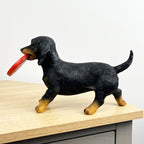 29.5cm Dachshund with Frisbee Ornament – Resin