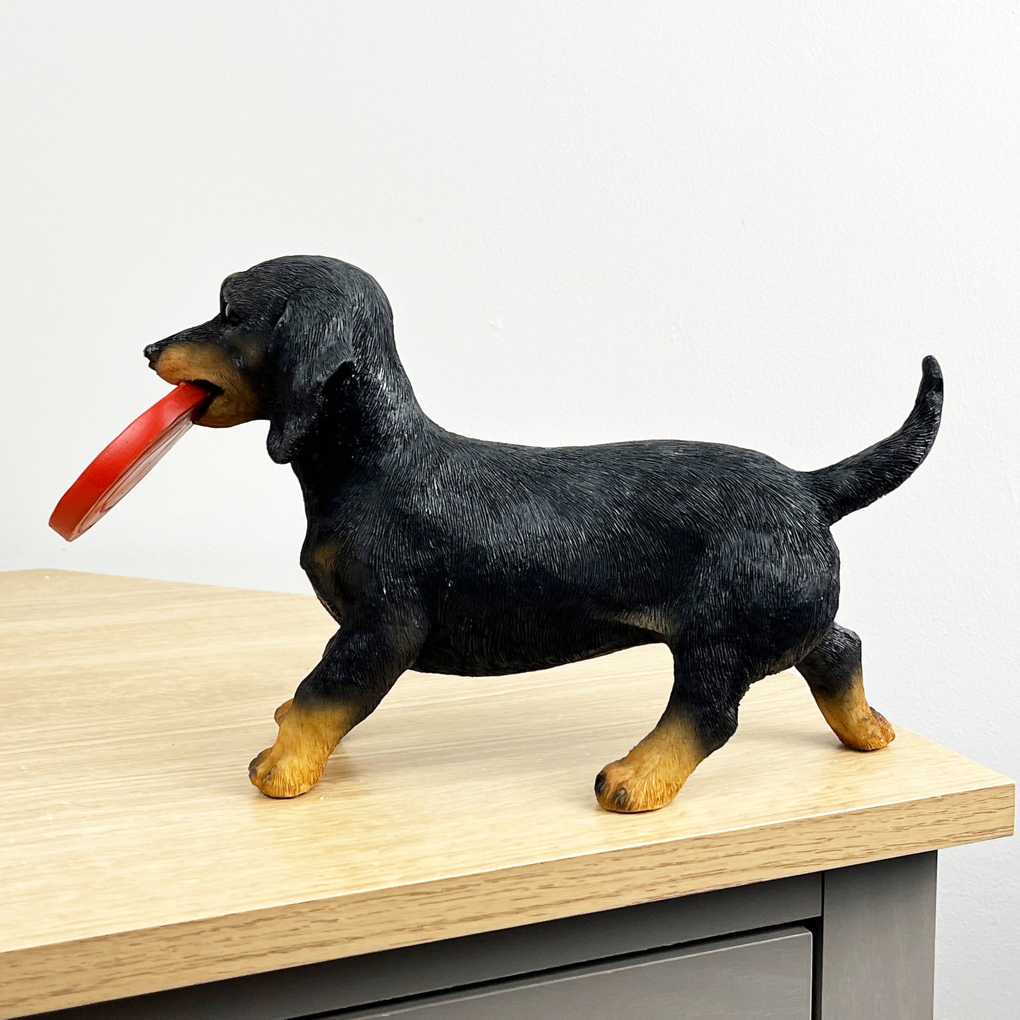 29.5cm Dachshund with Frisbee Ornament – Resin