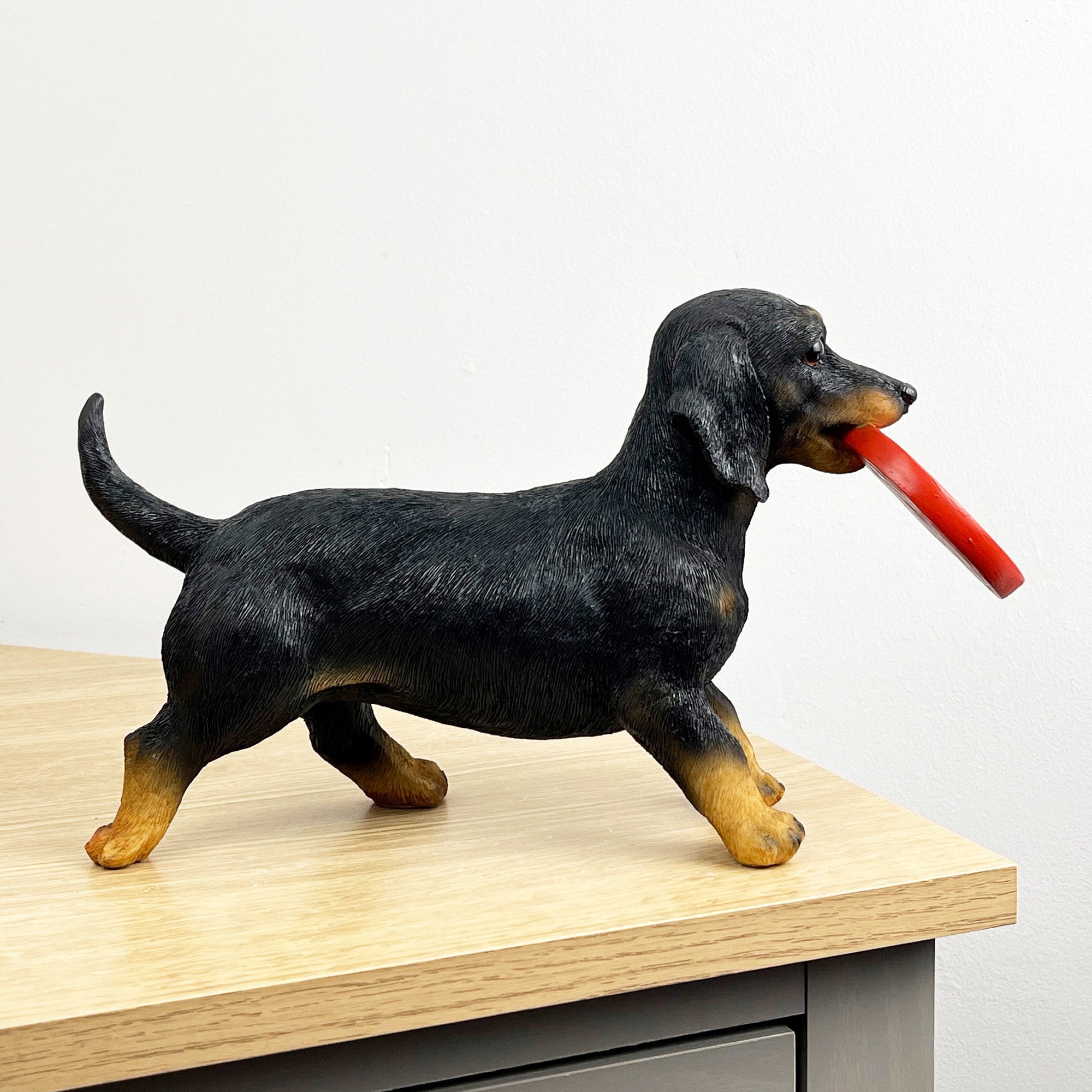 29.5cm Dachshund with Frisbee Ornament – Resin