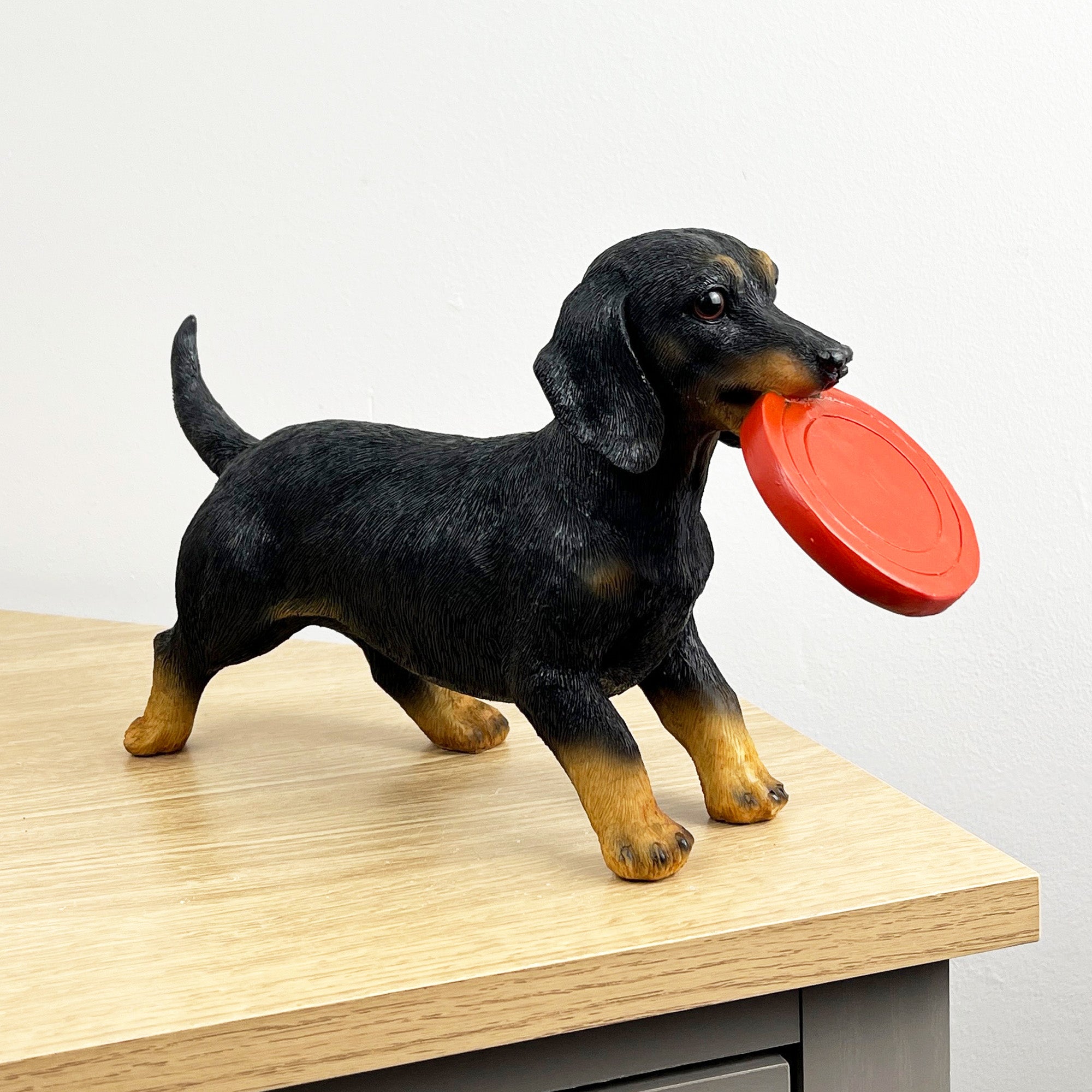 29.5cm Dachshund with Frisbee Ornament – Resin