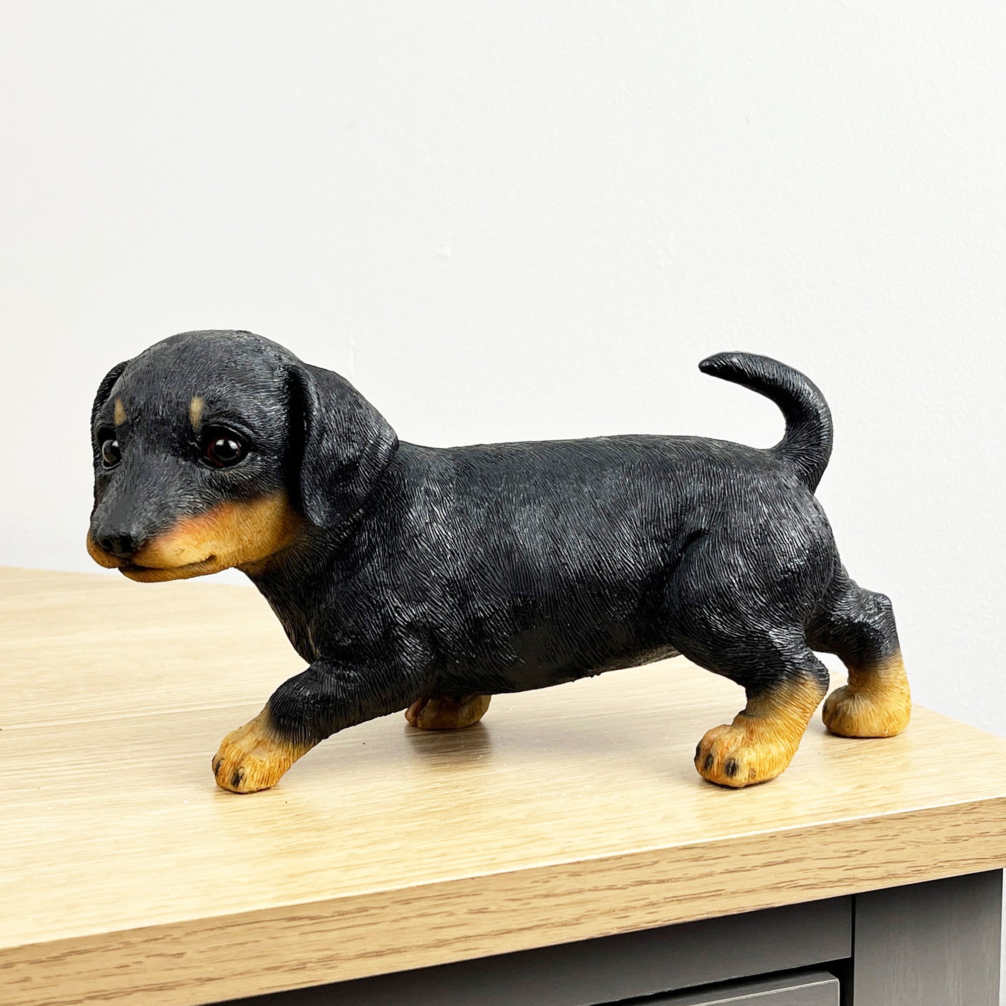 21.5cm Dachshund Puppy Ornament – Resin