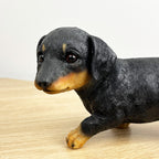 21.5cm Dachshund Puppy Ornament – Resin