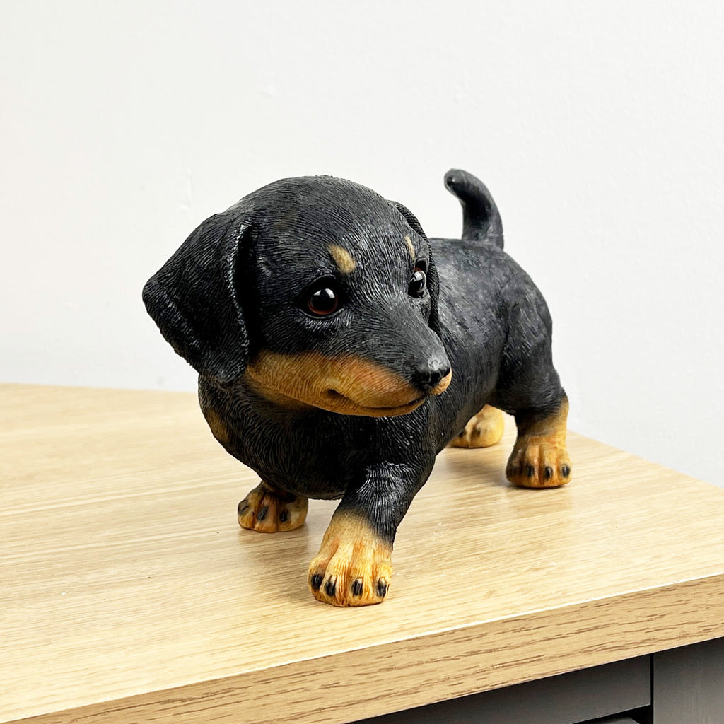21.5cm Dachshund Puppy Ornament – Resin