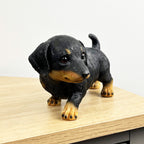 21.5cm Dachshund Puppy Ornament – Resin