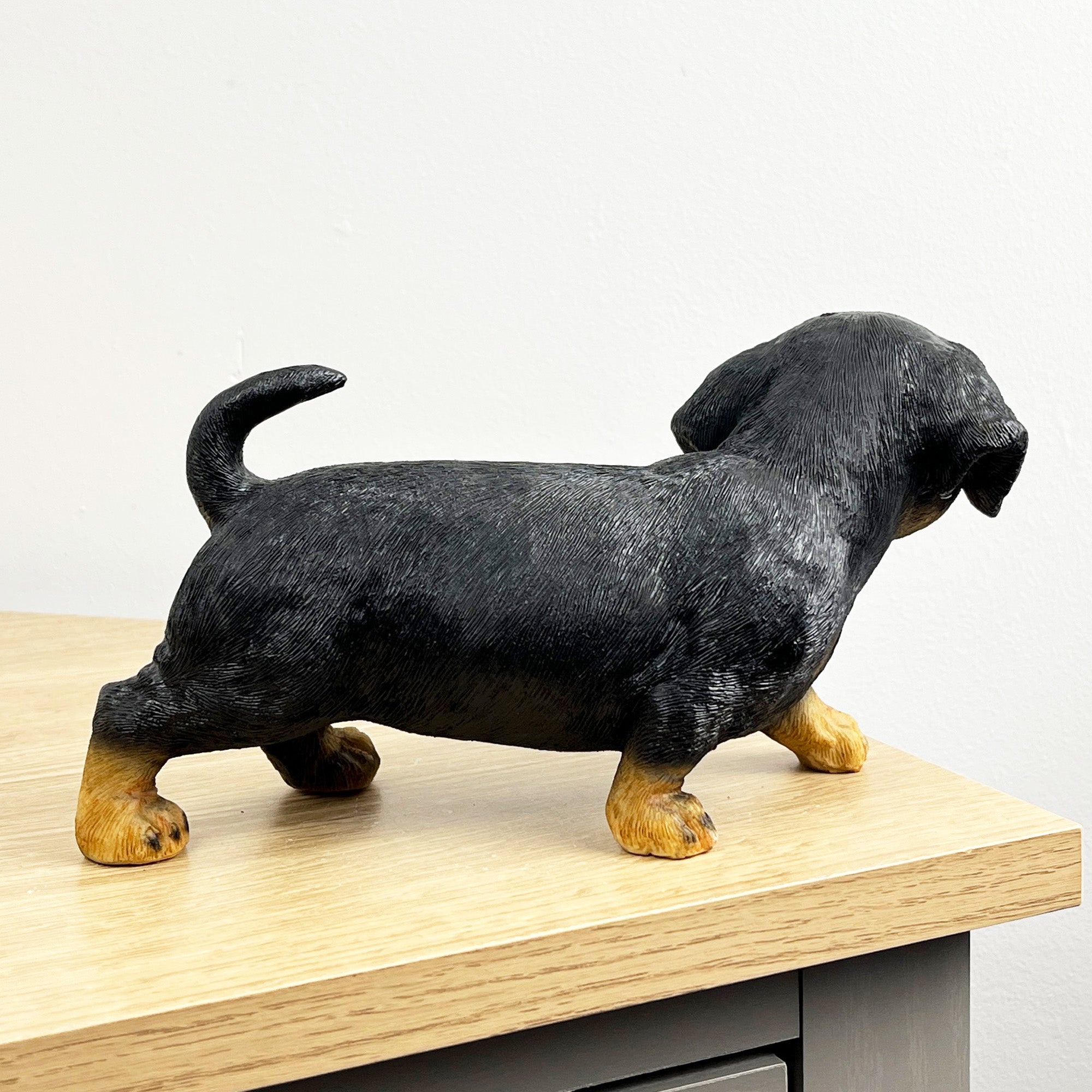 21.5cm Dachshund Puppy Ornament – Resin