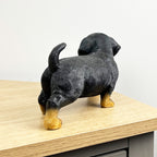 21.5cm Dachshund Puppy Ornament – Resin