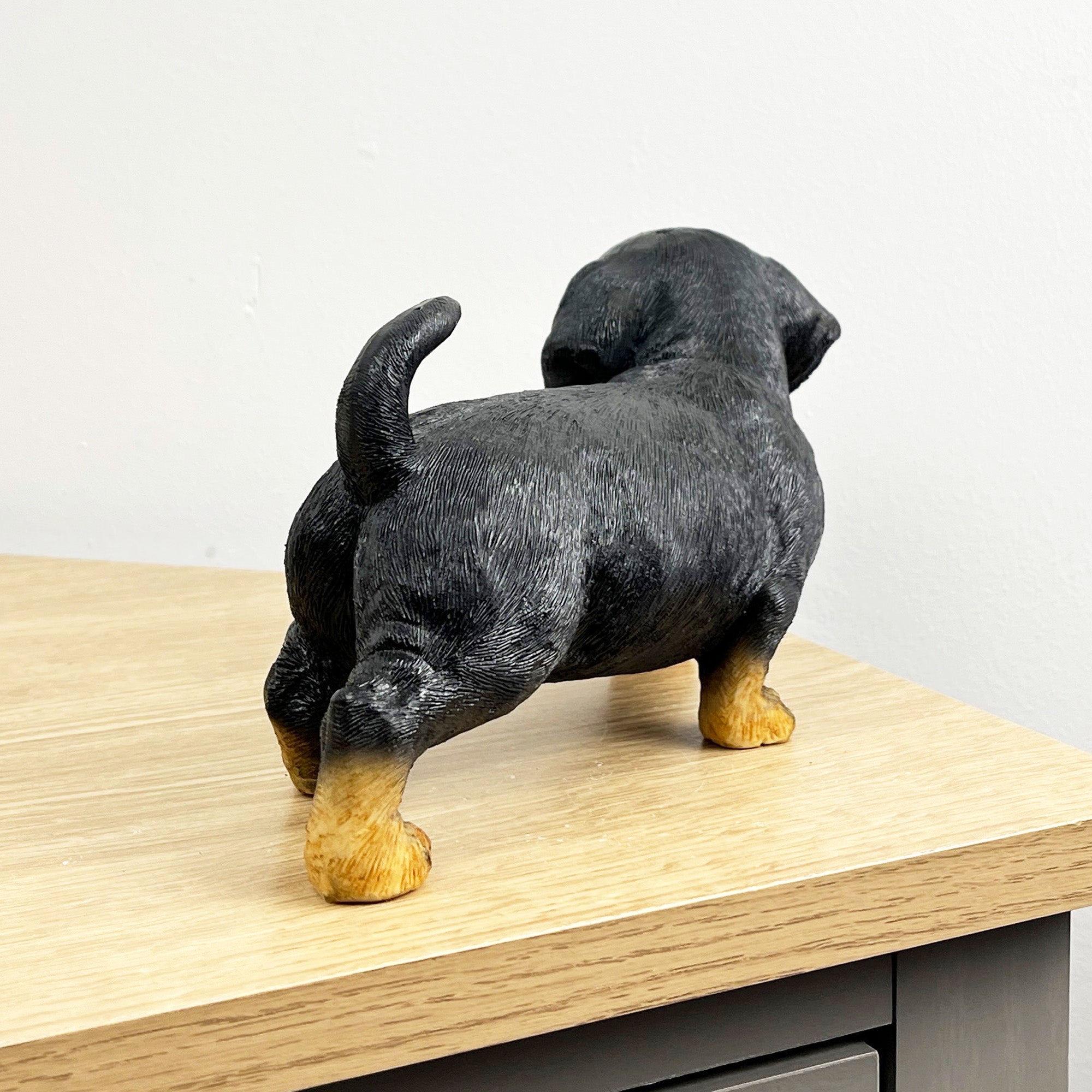 21.5cm Dachshund Puppy Ornament – Resin