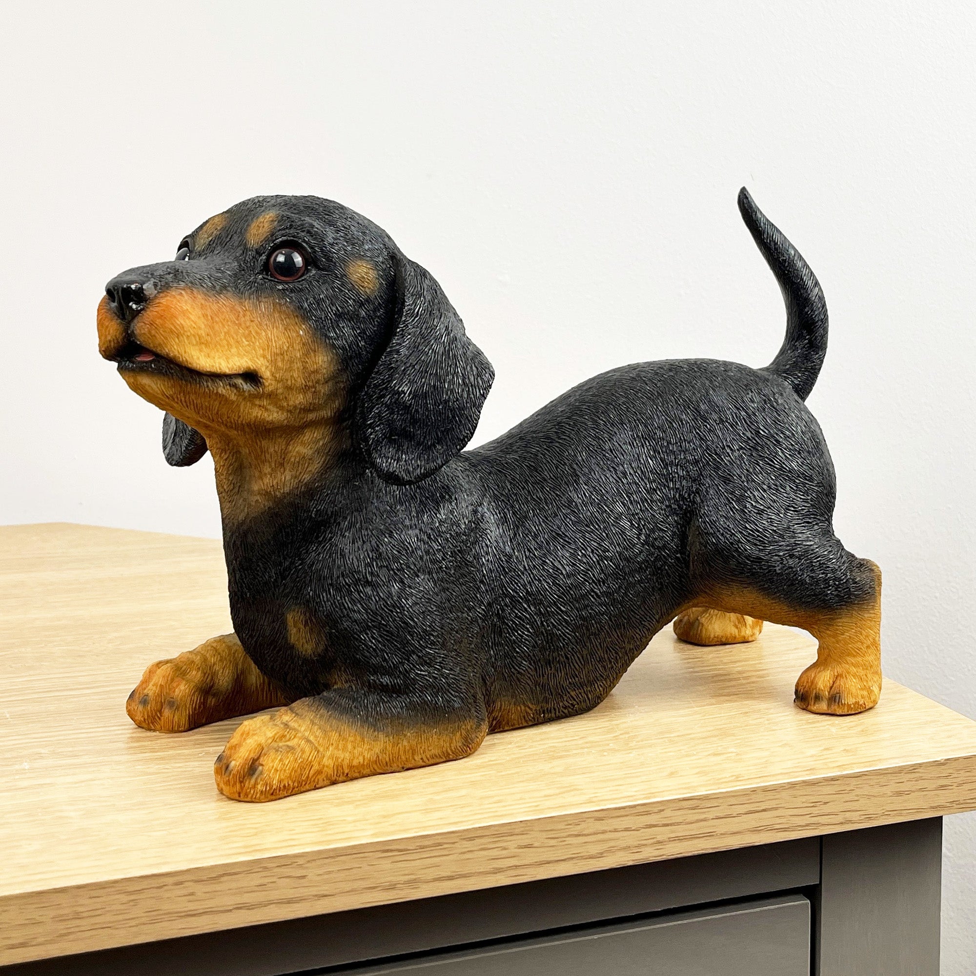 27.5cm Playful Dachshund Puppy Ornament – Resin