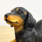 27.5cm Playful Dachshund Puppy Ornament – Resin