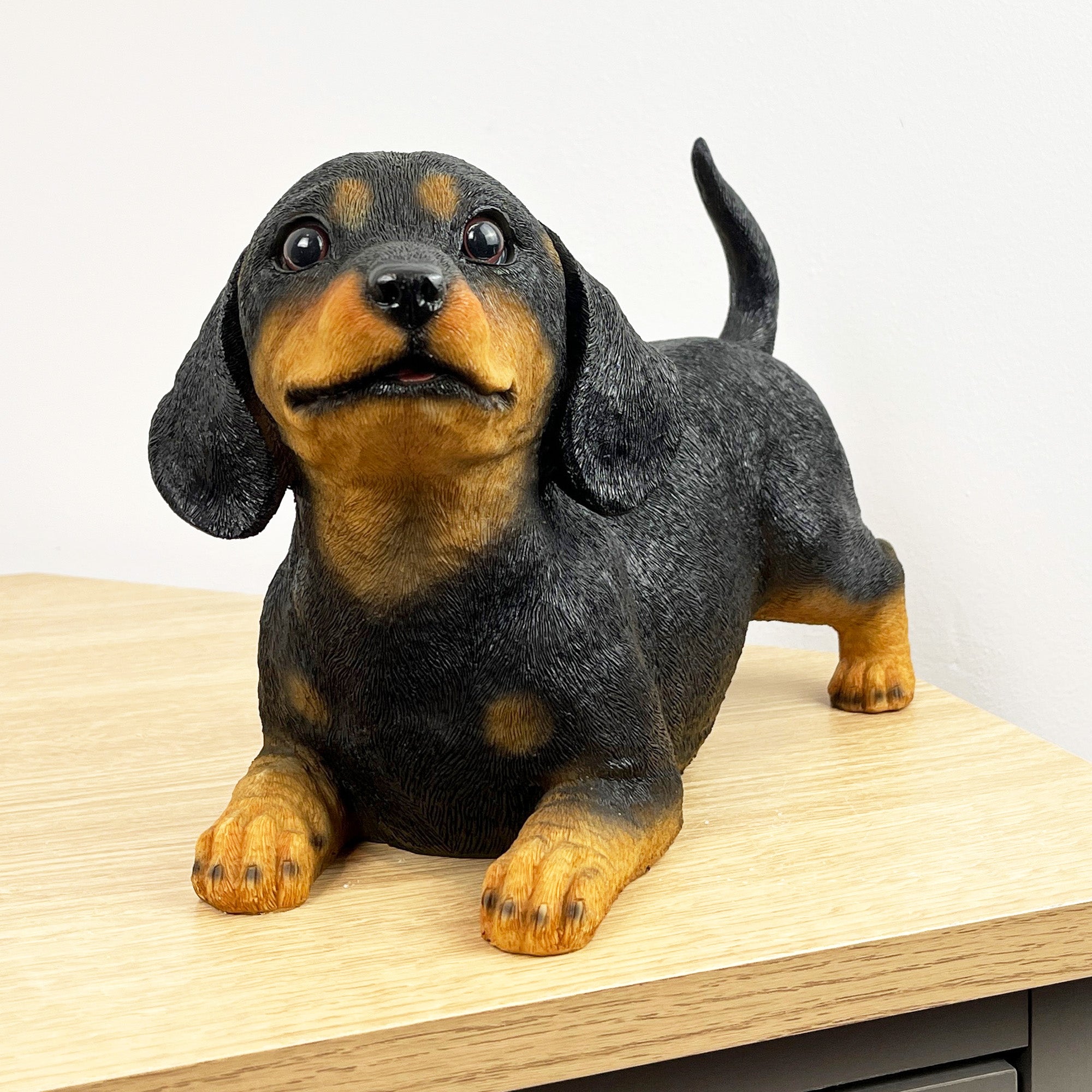 27.5cm Playful Dachshund Puppy Ornament – Resin