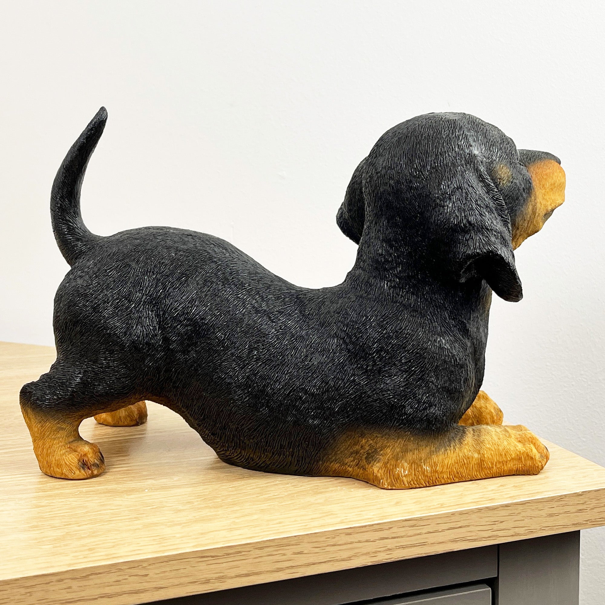 27.5cm Playful Dachshund Puppy Ornament – Resin