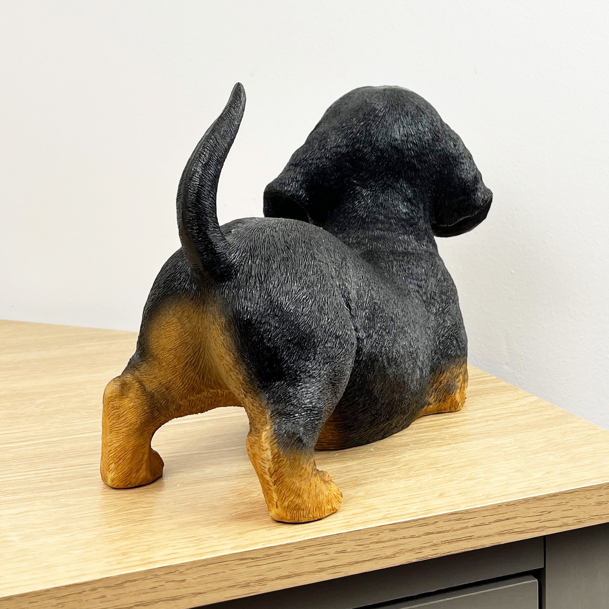 27.5cm Playful Dachshund Puppy Ornament – Resin