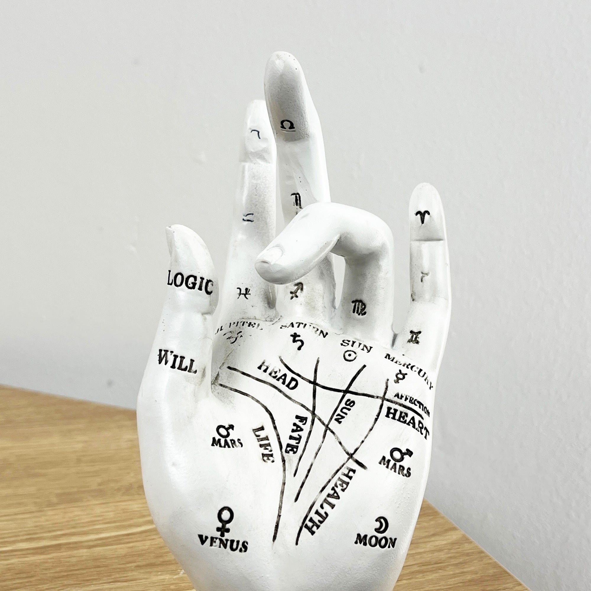 18cm White Palmistry / Rascette Hand Ornament / Statue - Resin