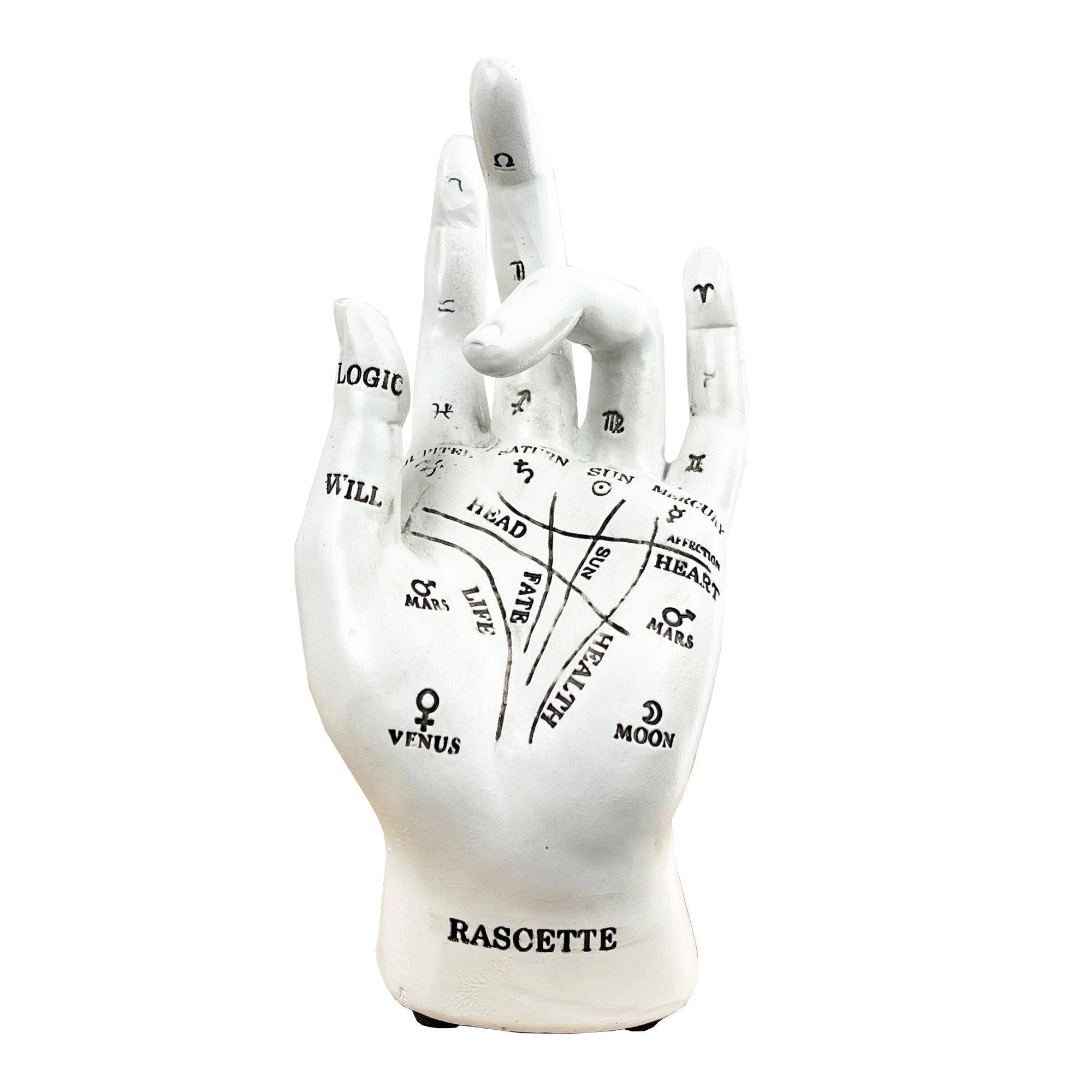18cm White Palmistry / Rascette Hand Ornament / Statue - Resin