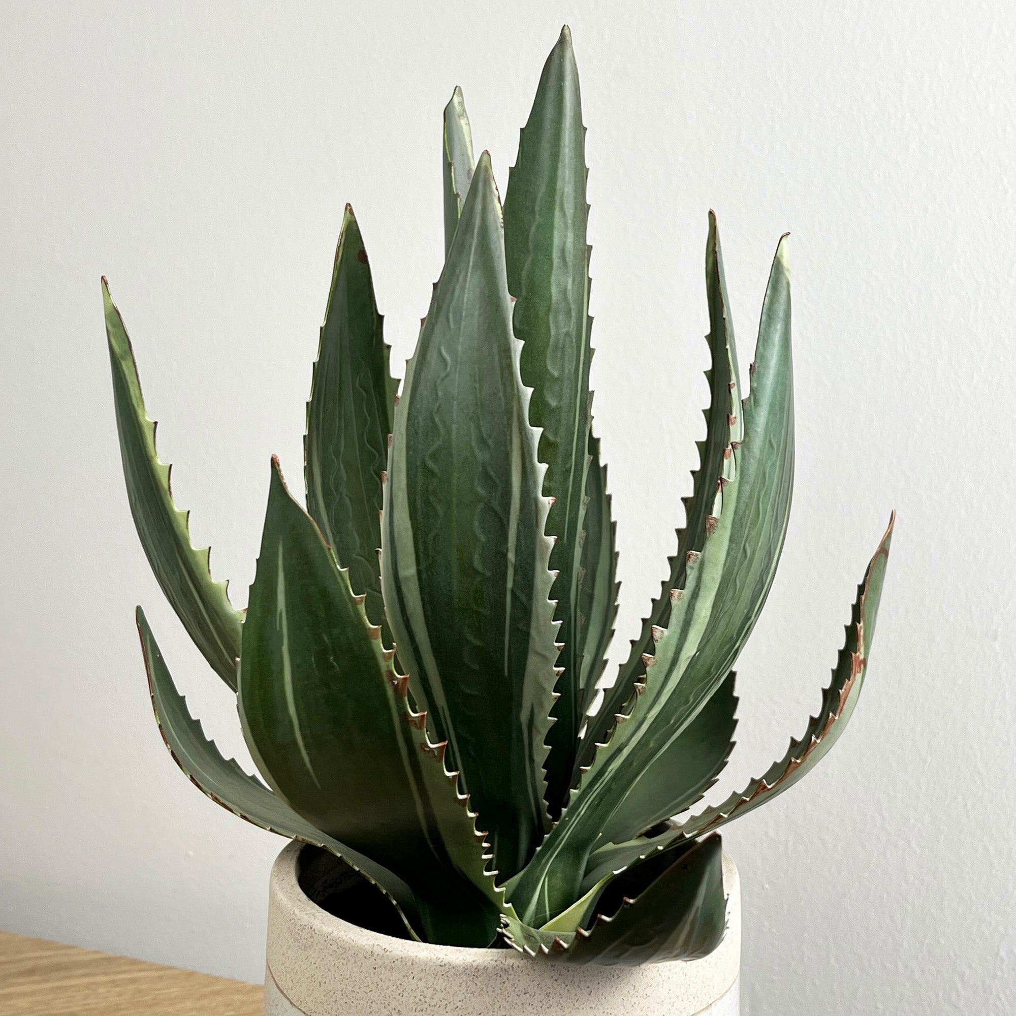 33.5cm Artificial Aloe Vera Plant in Pot