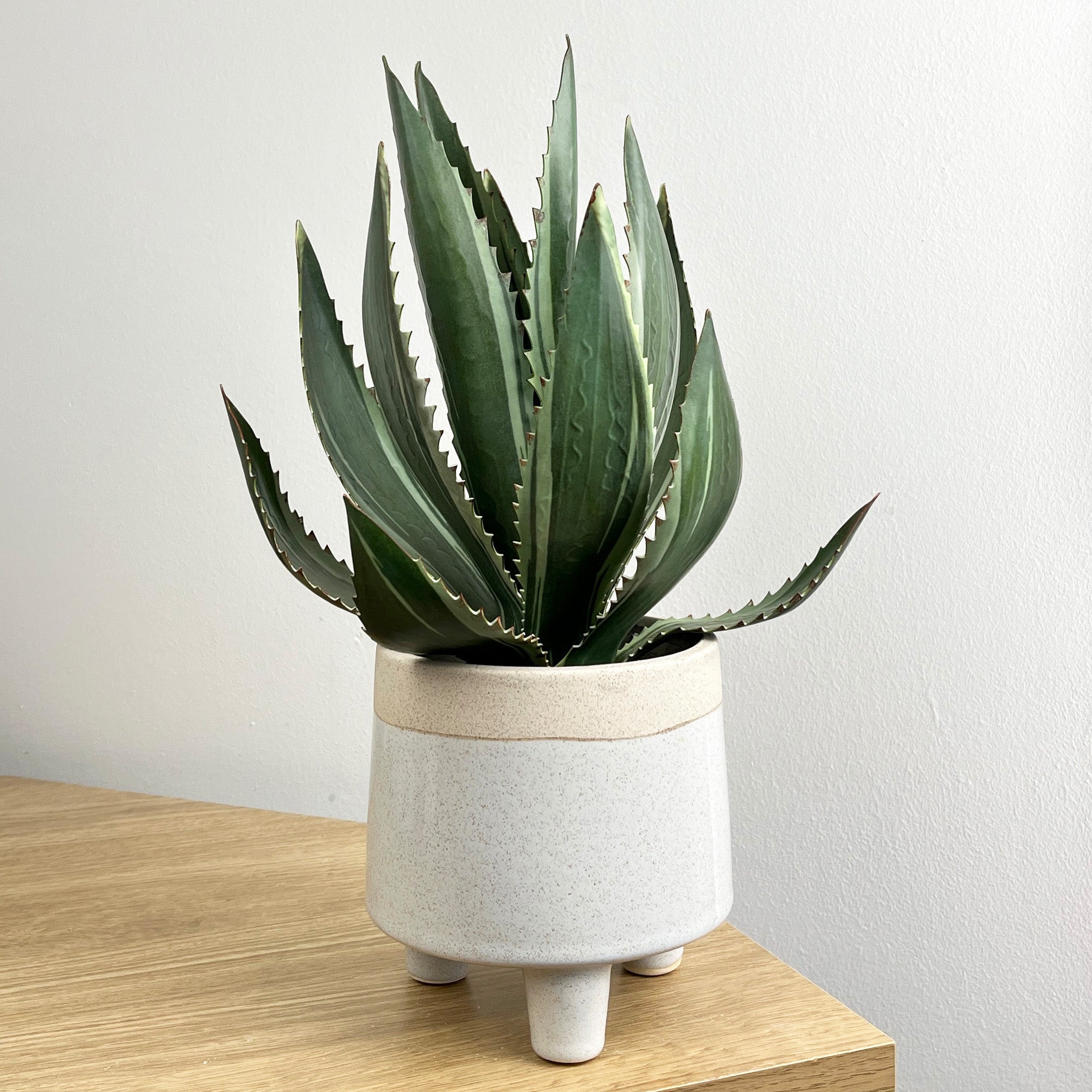 33.5cm Artificial Aloe Vera Plant in Pot