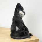 25.5cm Tall Bearded Monkey Ornament - Resin