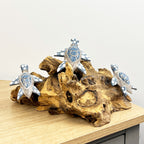 31cm Handmade Turtles on Coral Wooden Ornament / Sculpture