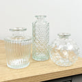3 Piece Glass Bud Vase Set - Clear